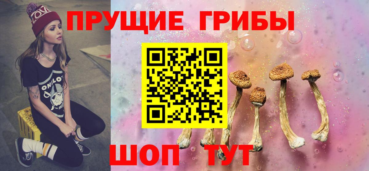 Псилоцибиновые грибы Psilocybe Лабытнанги